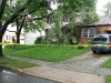 07-31-2009 -2 Tampico Terrace- Tree into a house 