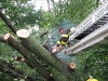 07-31-2009-Kings Hwy and Mantua Creek assist D19 tree removal